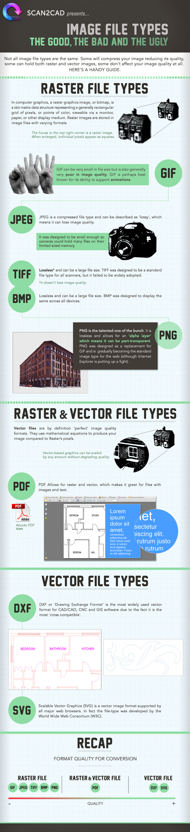 raster to vector infographic