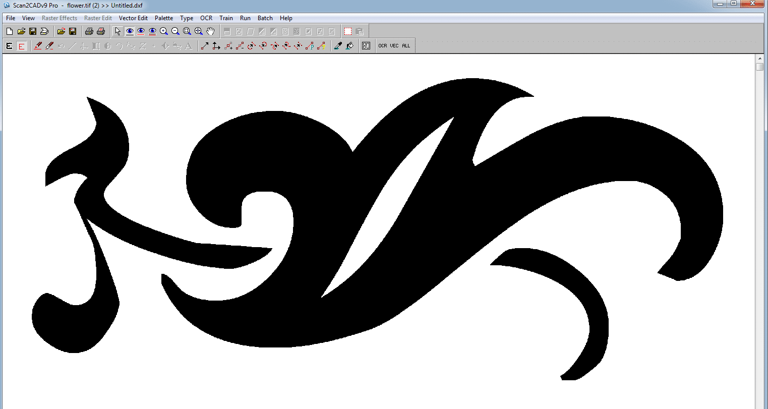 raster image before vector conversion