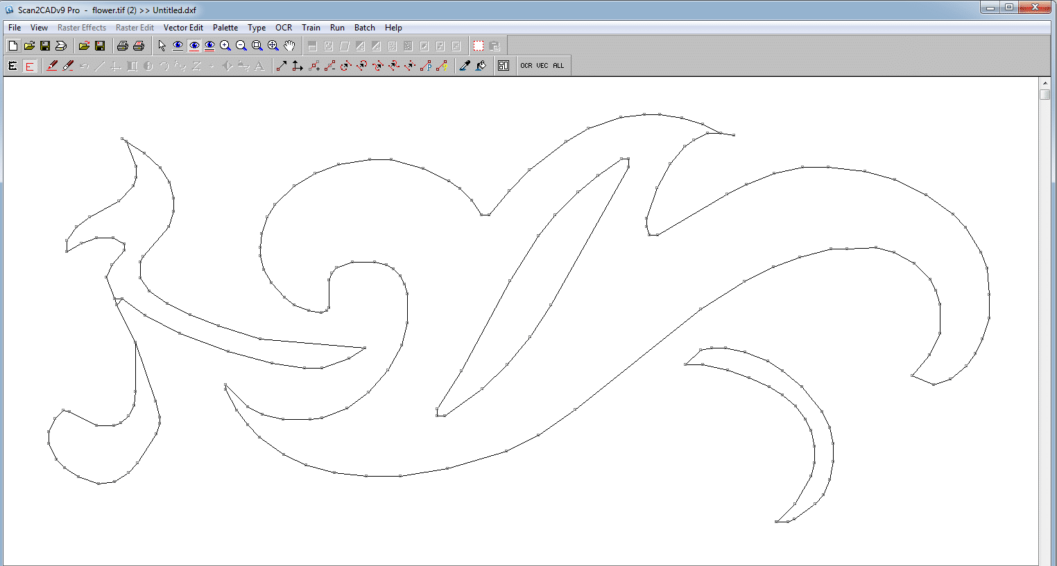 A vector image formed of lines