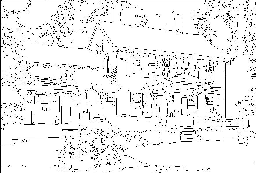 House picture vectorized