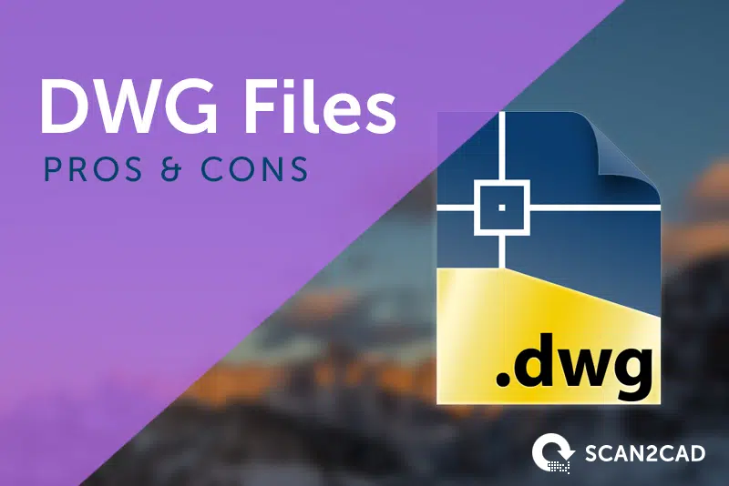DWG Pros and Cons