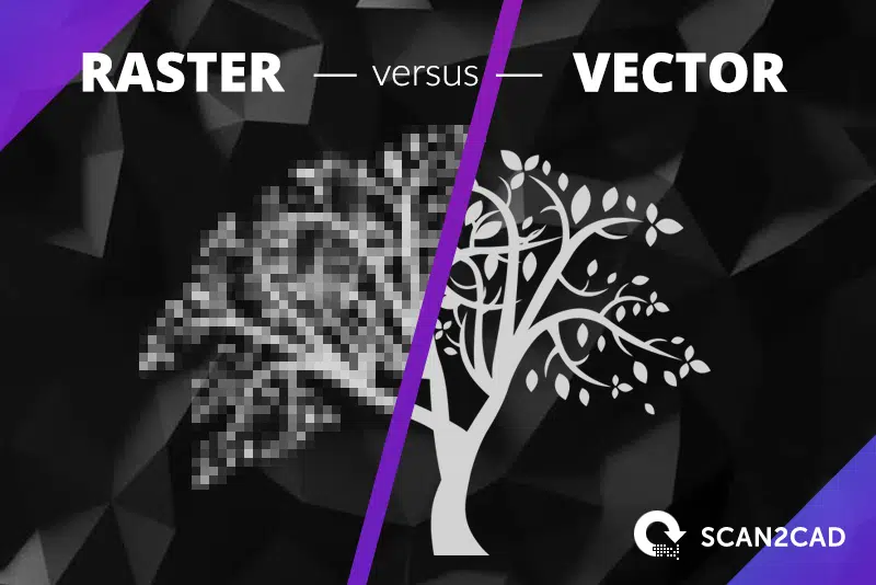 Raster versus Vector Banner