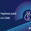Money bag icon - highest paid CAD jobs