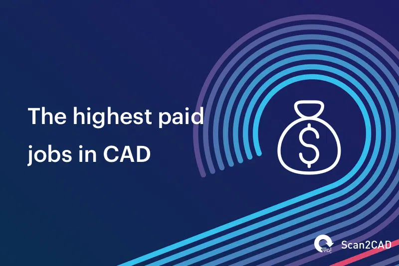 Money bag icon - highest paid CAD jobs