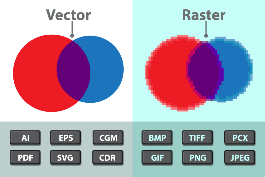 raster and vector images