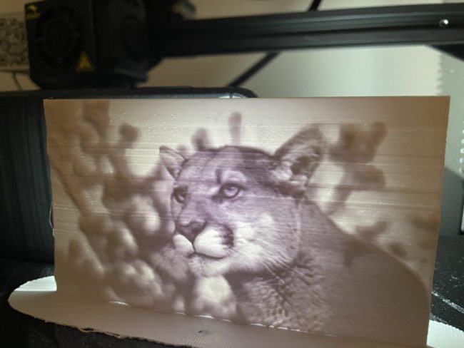 2D Image Printed Using a 3D Printer