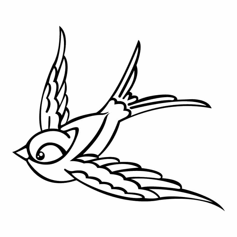 preview - bird6