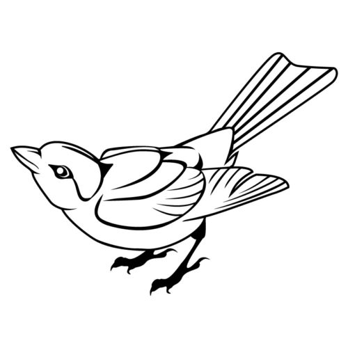 preview - bird7